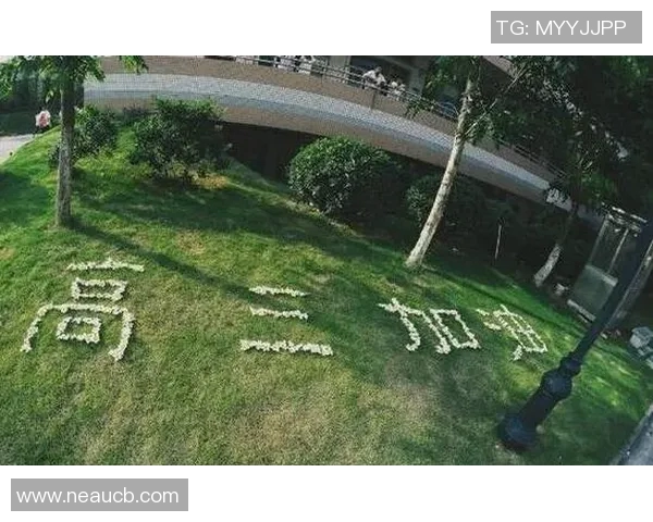何思雨的成长之路：从梦想起航到人生的每一次蜕变