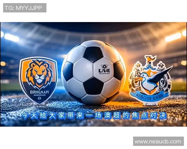 纽喷气机对决各大航空公司谁能称霸天空之战