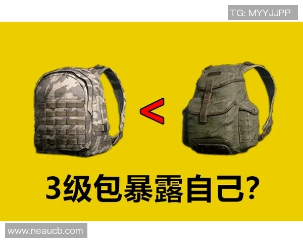 和平精英评论：BLG在区域防守中的优势与不足分析