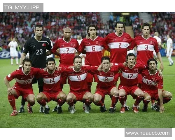 土耳其与乌克兰友谊赛精彩对决展现足球魅力与团队精神