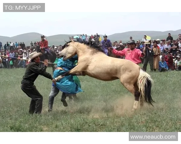 布拉加与斯洛云的激烈对决展现足球魅力与战术智慧的较量 布拉加与斯洛云的激烈对决展现足球魅力与战术智慧的较量