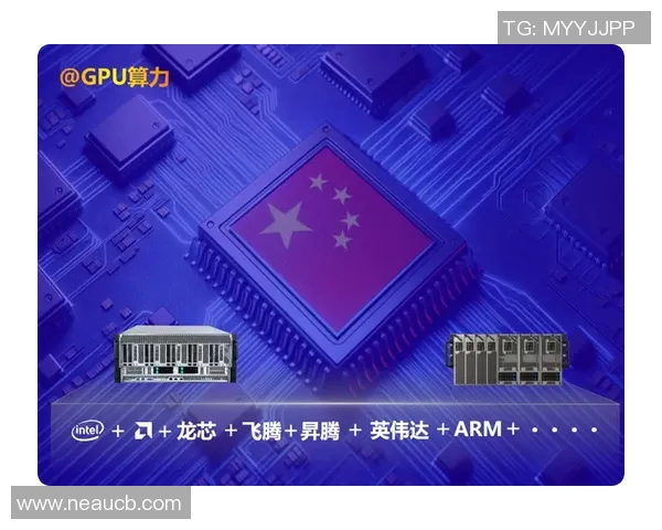 杭州乒乓球队在联合会杯上的拼搏历程与荣耀时刻全景回顾