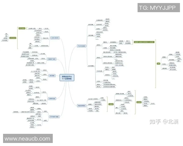 深入分析北京极限运动队的运营策略与发展模式探讨 深入分析北京极限运动队的运营策略与发展模式探讨