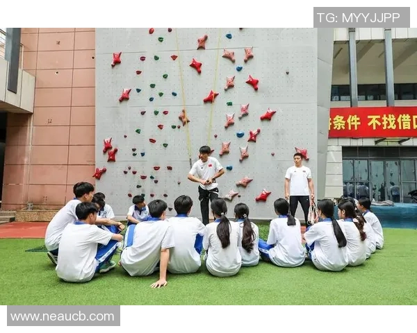 北京攀岩队协作创新探索攀岩运动新局面与团队精神的提升之路MBA