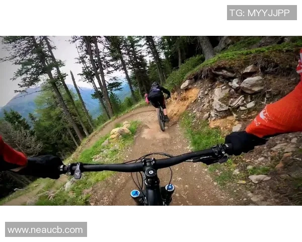 热议极限运动北京极限运动队如何通过战术变革提升竞技水平与团队协作