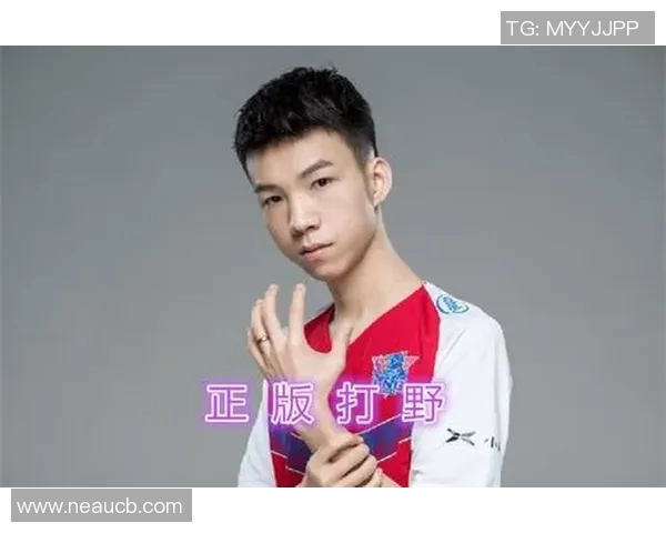 王者荣耀战队LNG的团队协作与战略分析探讨